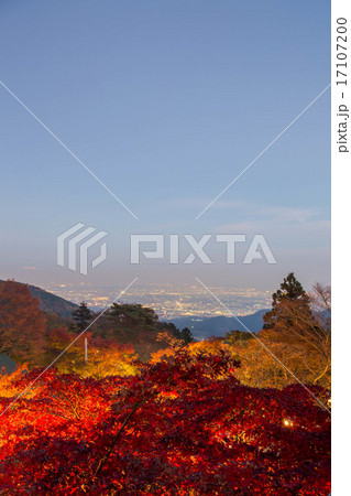 大山阿夫利神社 大山阿夫利神社 17107200