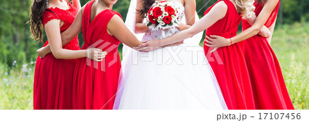 bridesmaids 17107456
