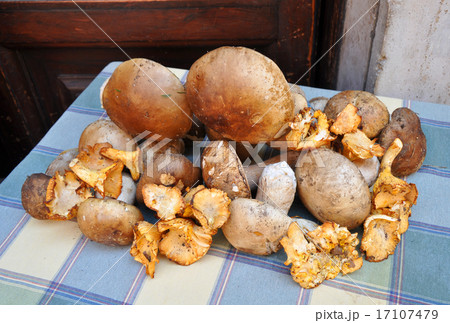 Various mushrooms on the table. Various mushrooms on the table. 17107479