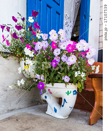 flowerbed  as the toilet 17107539