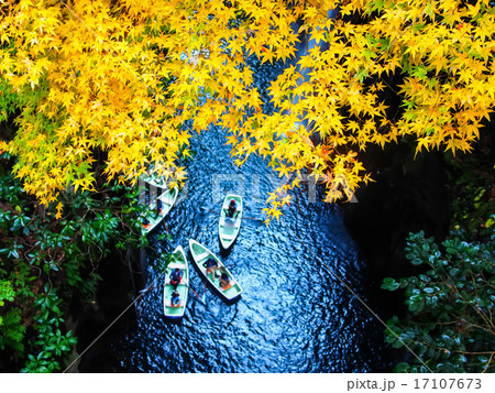 高千穂の秋 17107673