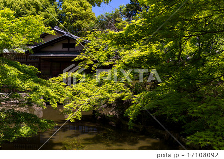 梅宮大社 17108092