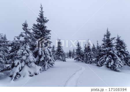 landscape 17108394