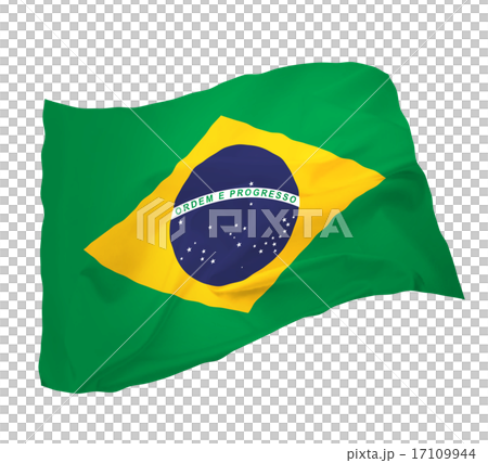 Flower Brazilian flag _ white background Flower Brazilian flag _ white background 17109944