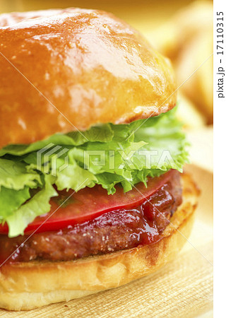 ハンバーガー 17110315