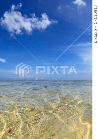 今泊ビーチ 17110917