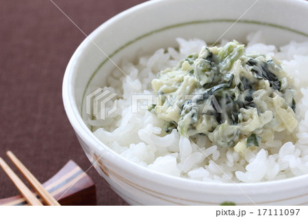 野沢菜のワサビ漬けとご飯 17111097
