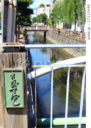 久留米市　池町川の風景 17113446