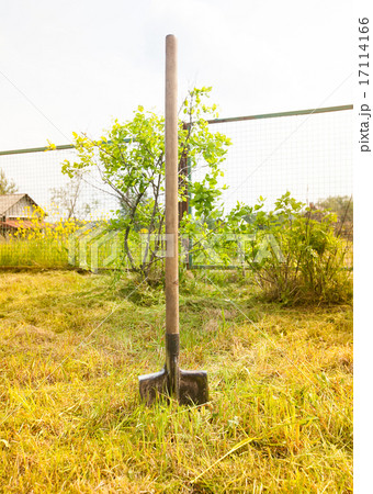 Old metal shovel on the ground in the garden 17114166