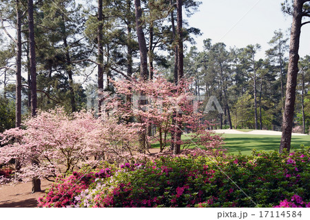 アメリカ　ゴルフ場 17114584