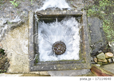田んぼの水くみあげ 田んぼ水やり 水ポンプの写真素材 [17114640] - PIXTA