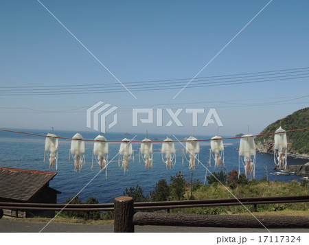 イカの一夜干し イカの一夜干し 17117324