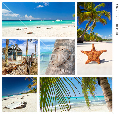Caribbean nature collage Caribbean nature collage 17117763