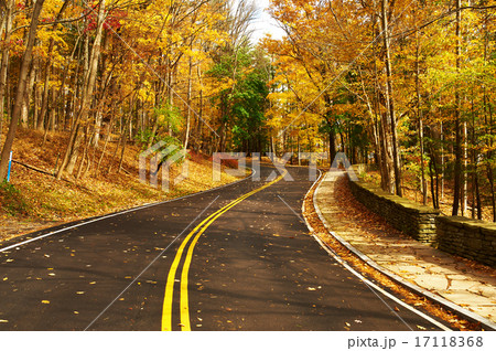 Autumn scene with road in forest Autumn scene with road in forest 17118368