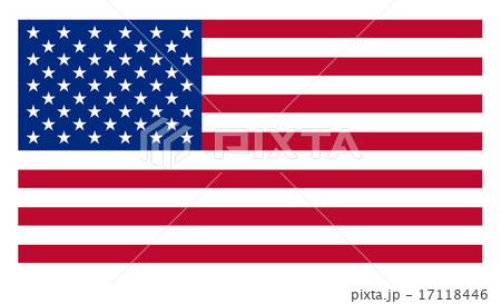 America flag America flag 17118446