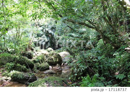 ユツン川 ユツン川 17118737