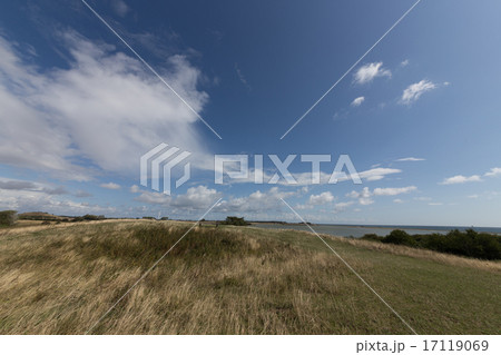 grass hill grass hill 17119069