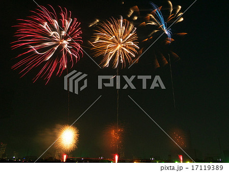 岡崎花火大会 岡崎花火大会 17119389