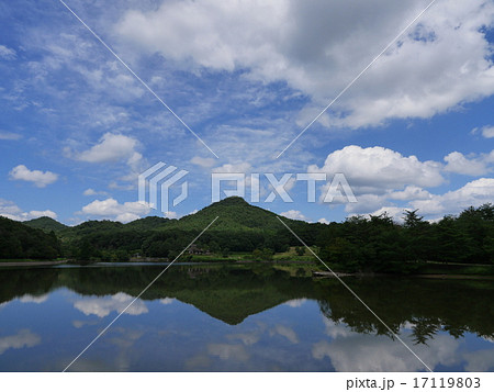 有馬富士 有馬富士 17119803