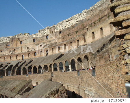 コロッセオ 17120374