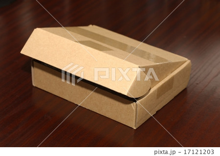 Cardboard Box 17121203