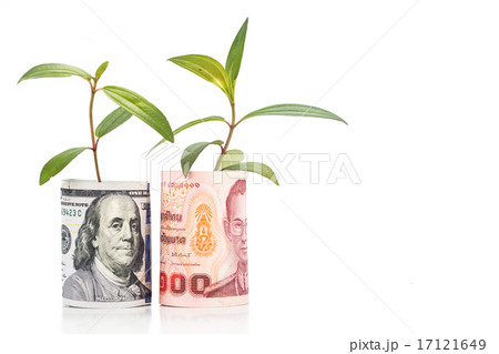 Concept of plant grow on USD against Thai Baht Concept of plant grow on USD against Thai Baht 17121649