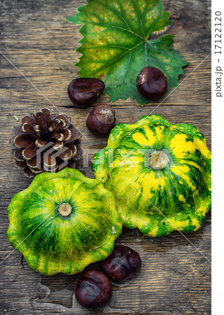 still life with autumn squash 17122120