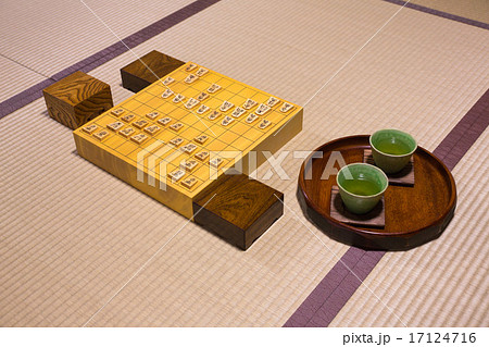 将棋 将棋 17124716