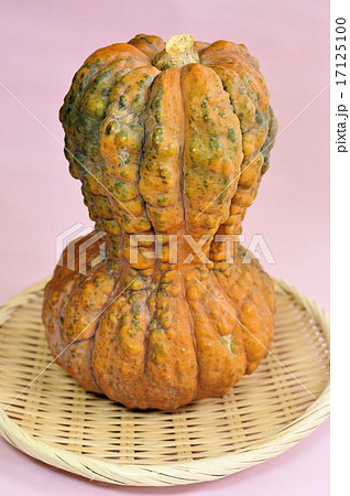 鹿ケ谷かぼちゃ 17125100