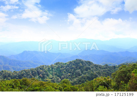 Views of the valley  17125199