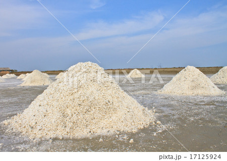 Saline Saline 17125924