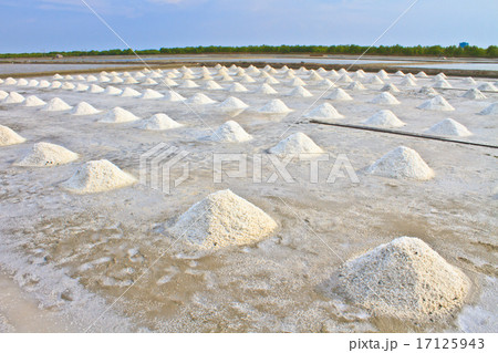 Saline Saline 17125943