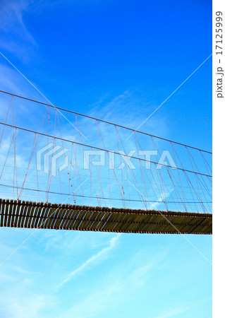 Rope bridge 17125999