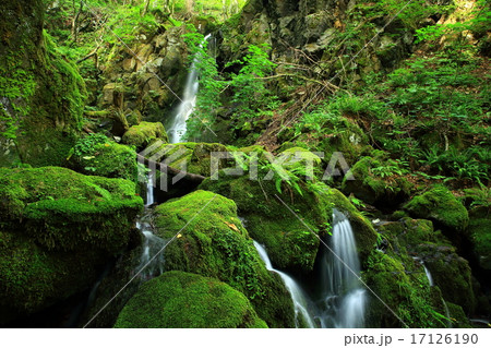 岩手県花巻市　夏の薄衣の滝 17126190
