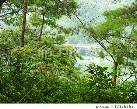 滝畑ダム~ダム百選 滝畑ダム~ダム百選 17126268