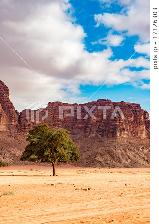 ヨルダンの砂漠(ヨルダン、ワディ・ラム保護区) ヨルダンの砂漠(ヨルダン、ワディ・ラム保護区) 17126303