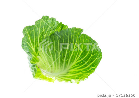 Close up green cabbage isolated on white 17126350