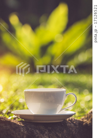 White coffee cup in the park 17126521