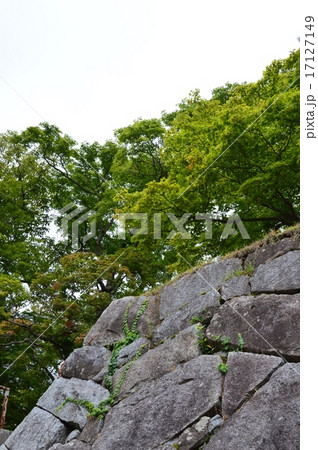 盛岡城の石垣（盛岡城跡公園(岩手公園)／岩手県盛岡市内丸1-37） 17127149