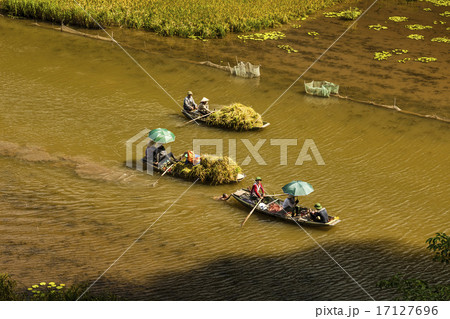 Rice field and river in TamCoc, NinhBinh, Vietnam Rice field and river in TamCoc, NinhBinh, Vietnam 17127696