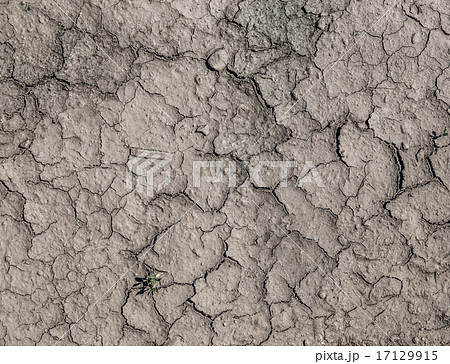 Texture drought parched earth 17129915