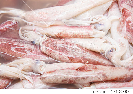 Fresh Group of Raw Squid 17130308