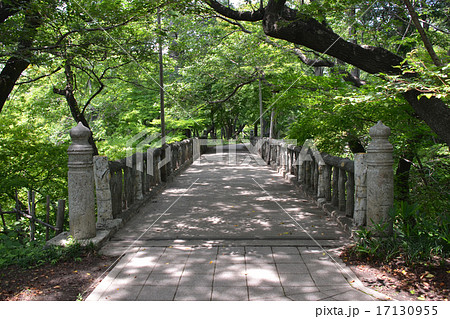 高遠城　白兎橋 17130955