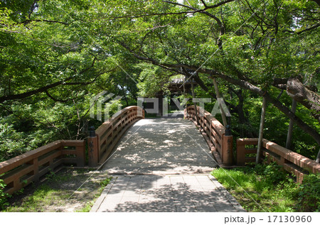 高遠城　桜雲橋 17130960