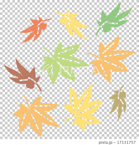 楓葉掉下來 17131757