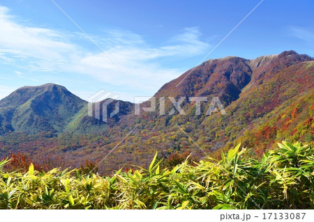 紅葉した三瓶山 17133087