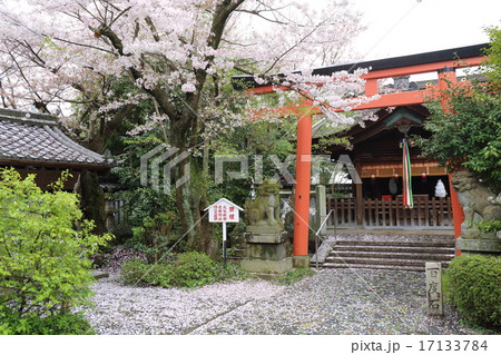 奈良 漢国神社 奈良 漢国神社 17133784