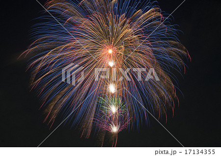 夏の夜空に咲く花の写真素材