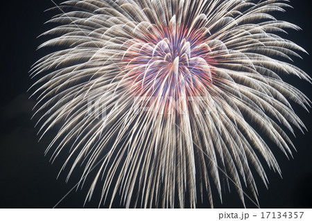 夏の夜空に咲く花の写真素材