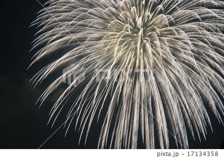 夏の夜空に咲く花の写真素材